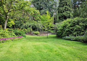 Optimiser l'expérience du jardin à Audeloncourt